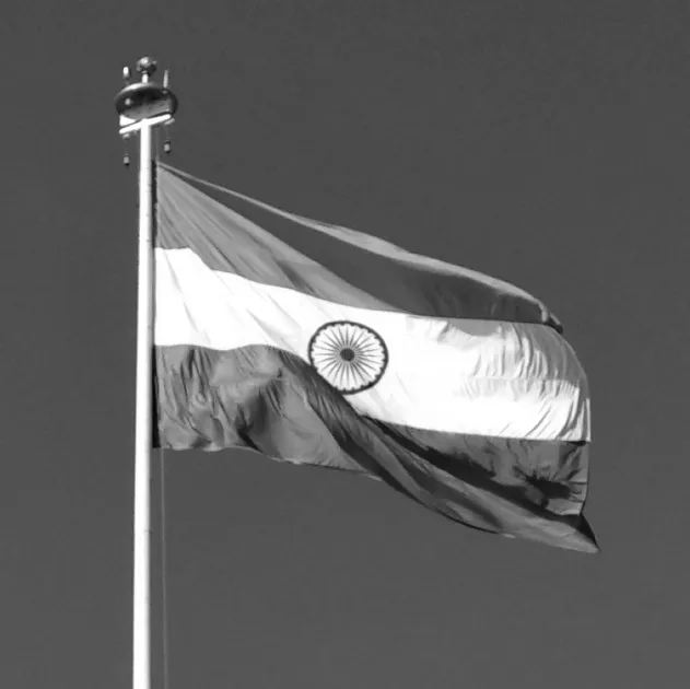 India flag resized